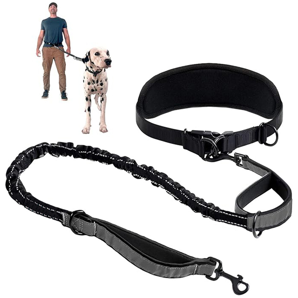 Retractable Dog Leash - Trela de cintura para cachorro, mãos