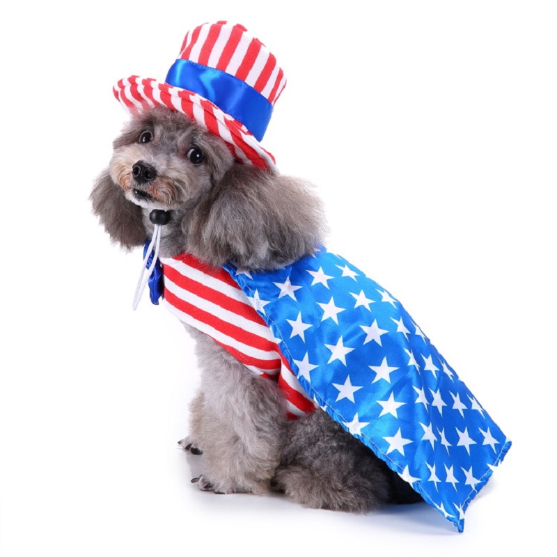Roupas para cães, suprimentos  - Pet Supplies And More avaliação e preço