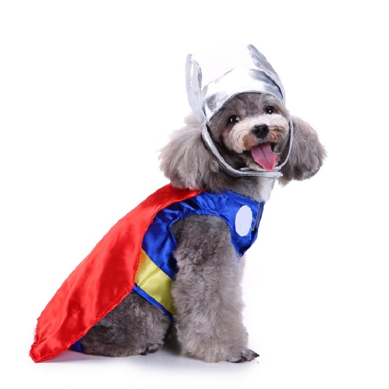 Roupas para cães, suprimentos  - Pet Supplies And More avaliação e preço