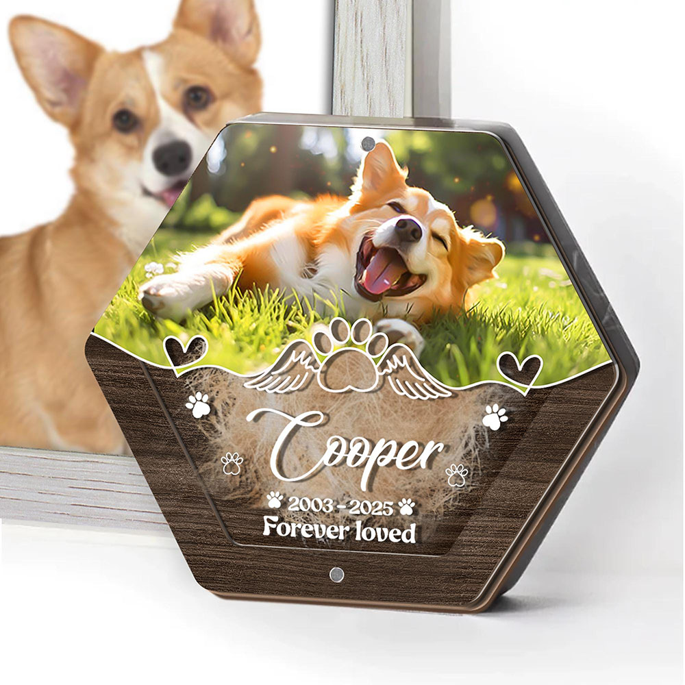 Nome personalizado escultura e - Pet Supplies Stores avaliação e preço