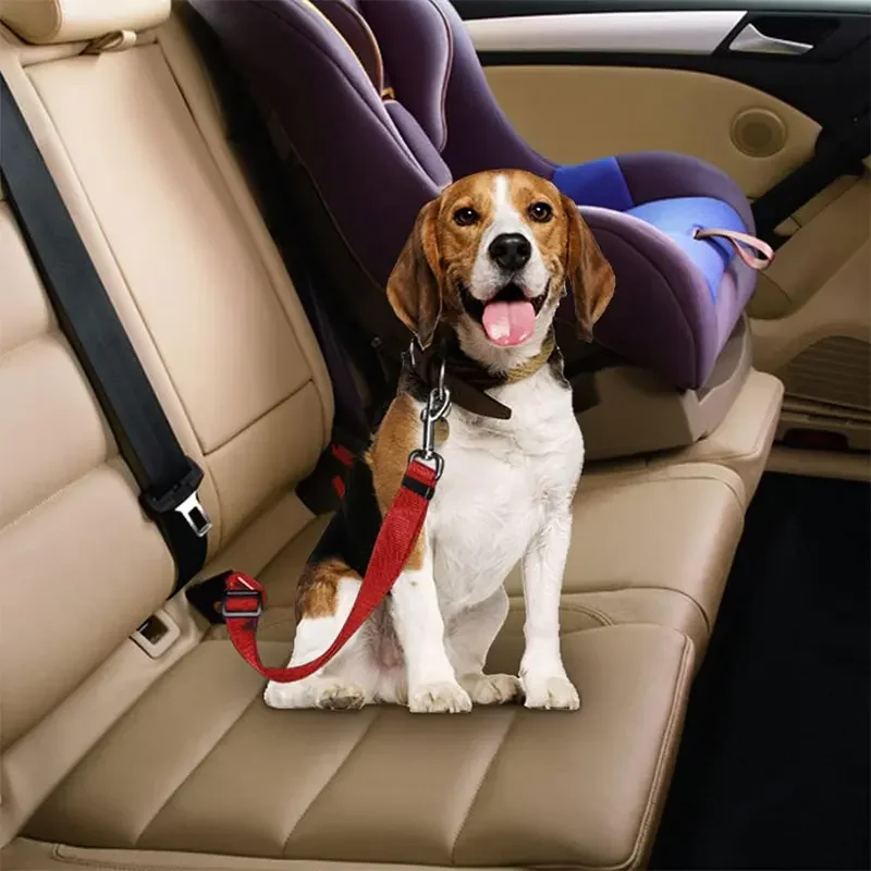 Cinto de Segurança para Cães d - Retractable Dog Leash avaliação e preço