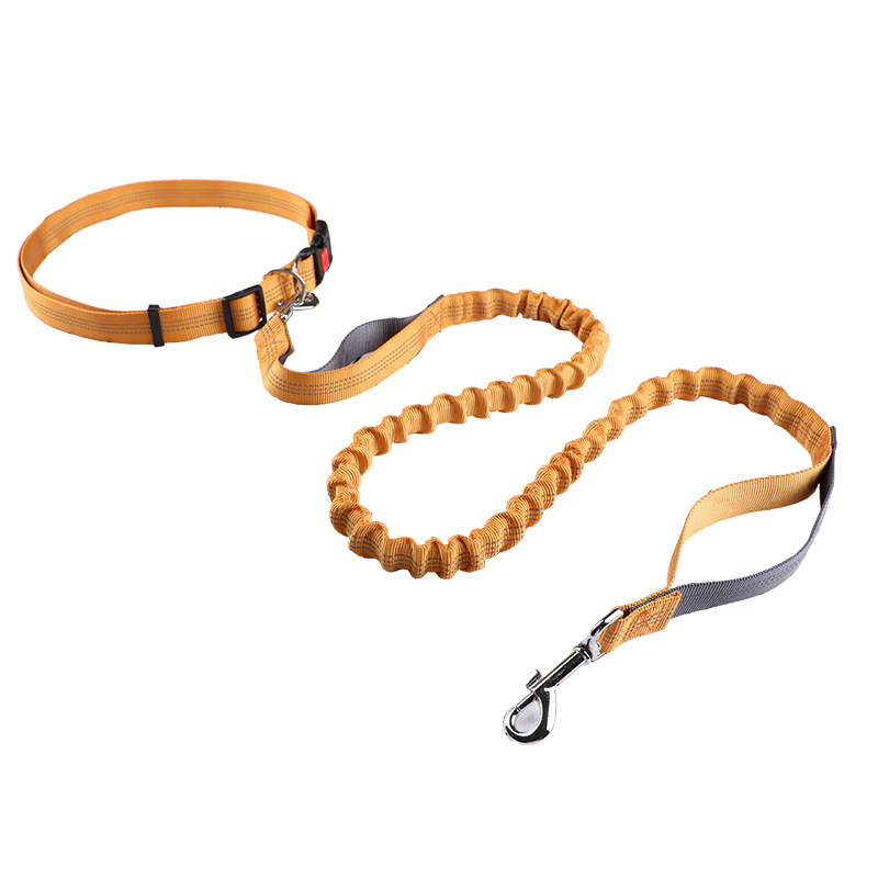 Coleira para animais de estima - Retractable Dog Leash avaliação e preço